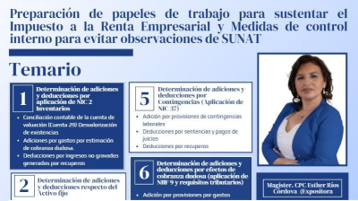 PREPARACIÓN DE PAPELES DE TRABAJO PARA SUSTENTAR EL IMPUESTO A LA RENTA EMPRESARIAL Y MEDIDAS DE CONTROL INTERNO PARA EVITAR OBSERVACIONES DE SUNAT
